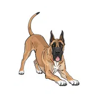 Great Dane | Guard Animals Names 