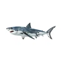 Great White Shark | Carnivorous Animals Names