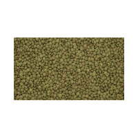 Green Lentils | Lentils Names