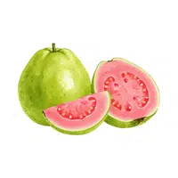 Guava