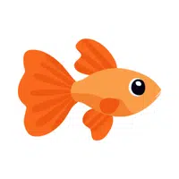 Guppy | Friendly Animals Names