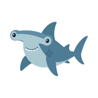 Hammerhead Shark | Carnivorous Animals Names