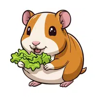 Hamster | Vertebrates Animals Names 