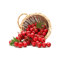 Hawthornberry | Small Fruits Names