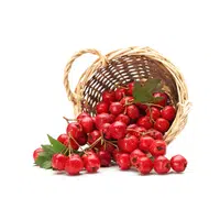 Hawthornberry | Small Fruits Names