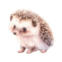 Hedgehog | Friendly Animals Names