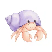 Hermit-crab | Crustaceans Names 