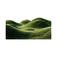 Hill | 100 Natural Things Names