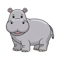 Hippopotamus | Largest Animals Names