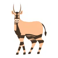 Hirola | Endangered Animals Names