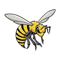 Hornet