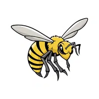 Hornet | Woodland Animals Names