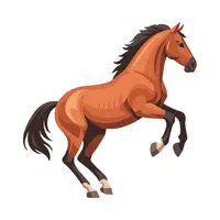 Horse | Vertebrates Animals Names 