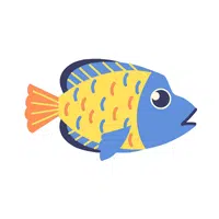 Humphead Wrasse