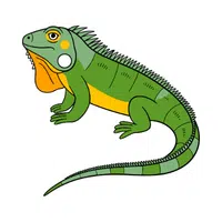 Iguana 