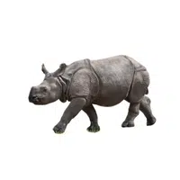 Indian Rhinoceros | Largest Animals Names