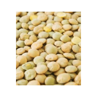 Iron Lentils | Lentils Names