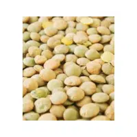 Iron Lentils | Lentils Names