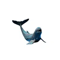 Irrawaddy Dolphin | Endangered Animals Names