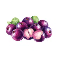 Jabuticaba | Small Fruits Names