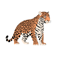 Jaguar | Carnivorous Animals Names