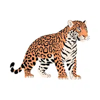 Jaguar | Carnivorous Animals Names