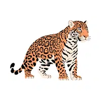 Jaguar | Vertebrates Animals Names
