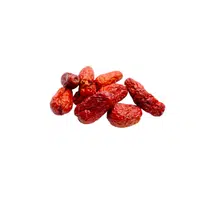 Jujube | Small Fruits Names 