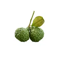 Kaffirlime