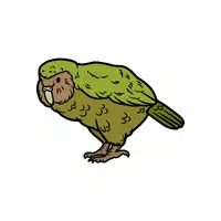Kakapo | Endangered Animals Names