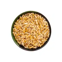 Kamut | Cereals Names 