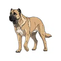 Kangal Dog | Guard Animals Names 