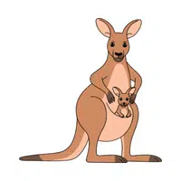 Kangaroo | Vertebrates Animals Names 