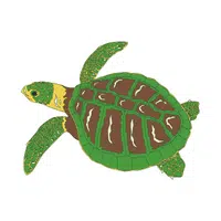 Kemp Ridley Turtle | Endangered Animals Names