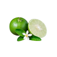 Keylime | Small Fruits Names