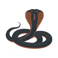 King Cobra | Carnivorous Animals Names