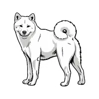 Kishu Ken | Guard Animals Names 
