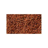 Kodo Millet | Cereals Names 