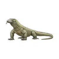 Komodo Dragon | Endangered Animals Names