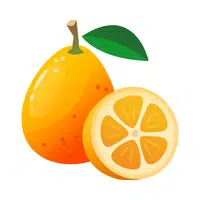 Kumquat | Small Fruits Names