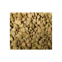 Large Lentils | Lentils Names