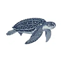 Leatherback Turtle | Endangered Animals Names