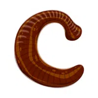 Leech