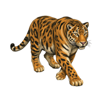 Leopard | Carnivorous Animals Names