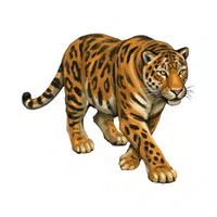Leopard | Vertebrates Animals Names 