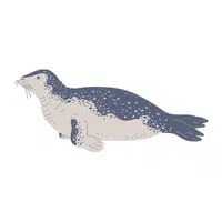 Leopard Seal | Largest Animals Names