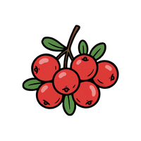 Lingonberry | Small Fruits Names