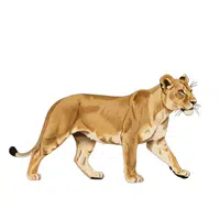 Lioness | Vertebrates Animals Names 