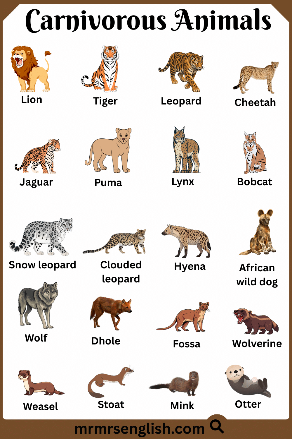 List of Carnivorous Animals with Names and Pictures