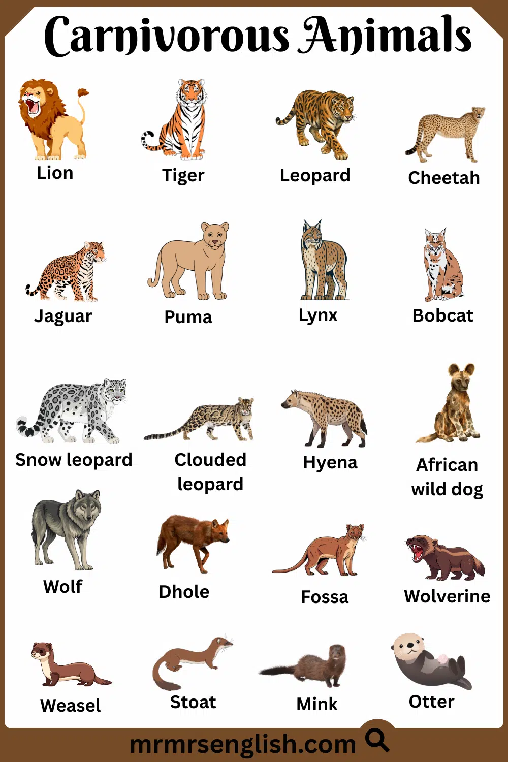 List of Carnivorous Animals with Names and Pictures